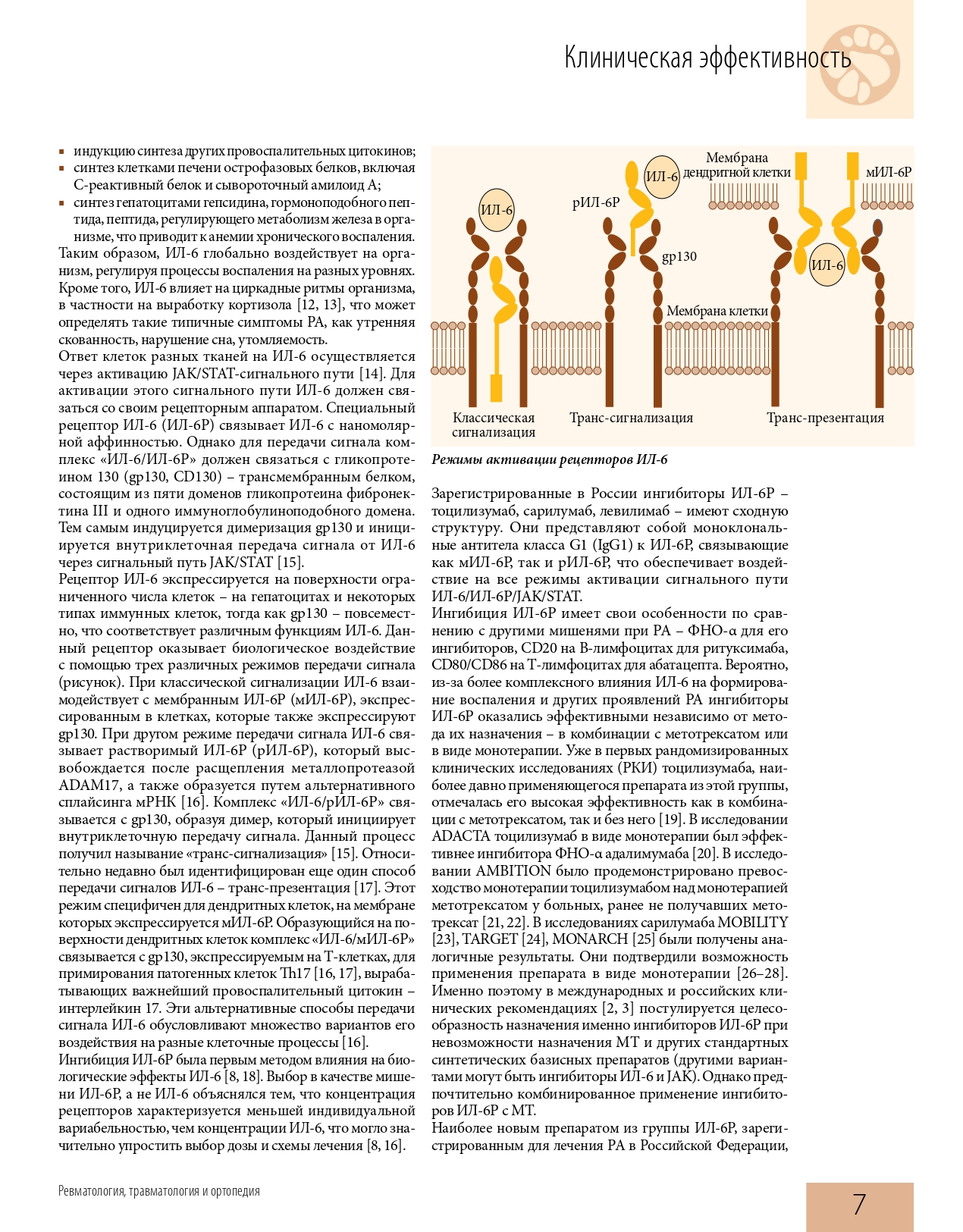 effektivnaya_farmakoterapiya_revmatologiya_travmatologiya_i_ortopediya_2_2022_page-0009